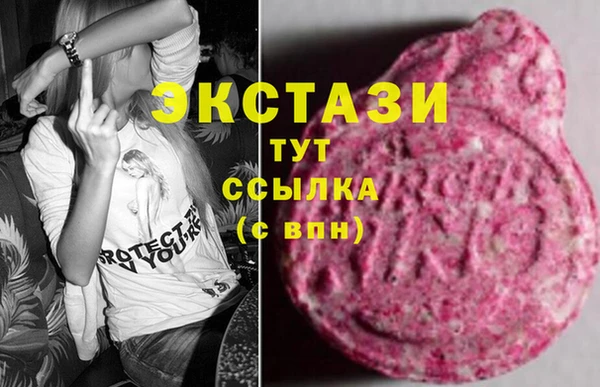 СК Тайга