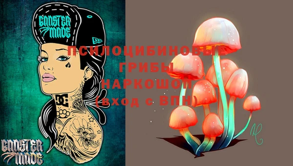 кокс Дмитров