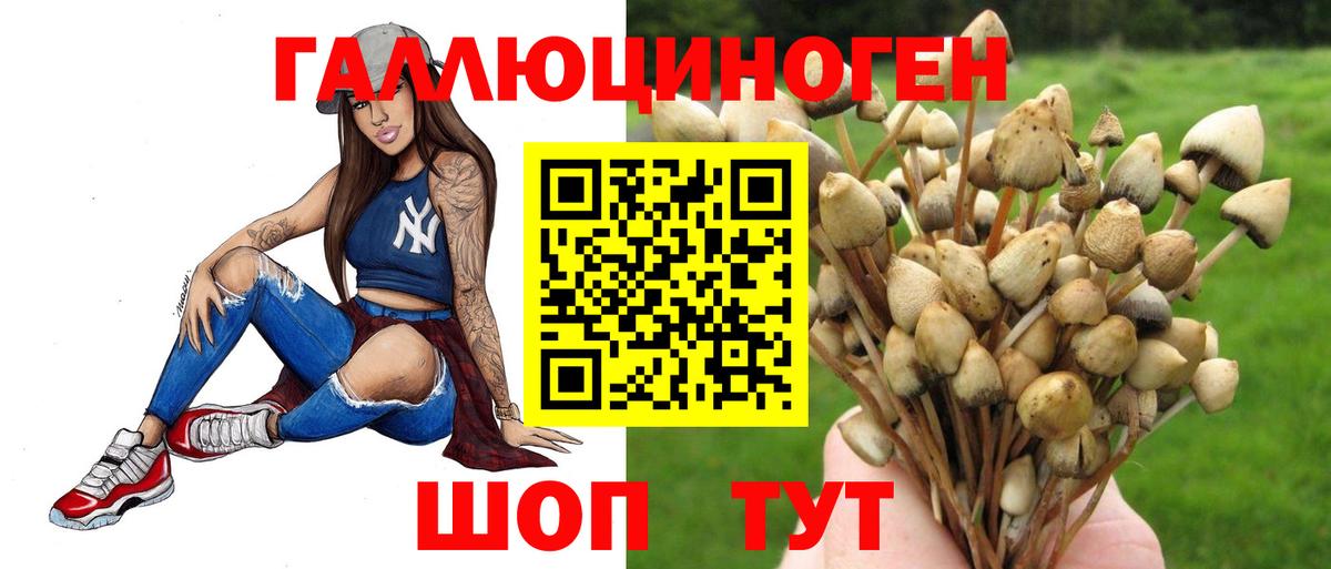 Псилоцибиновые грибы Magic Shrooms  Вход с VPN  Грязи 