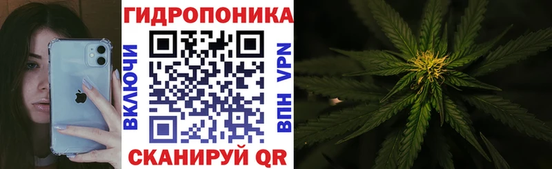 Бошки Шишки THC 21% Грязи