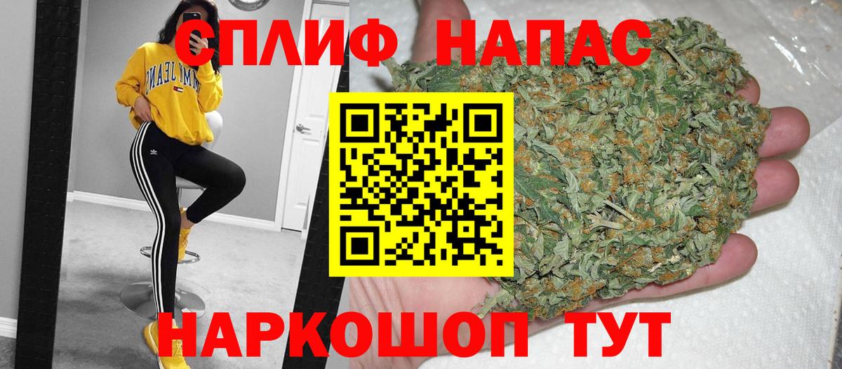 Каннабис сатива Грязи